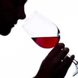 Logo for The Sommelier on GptList.io